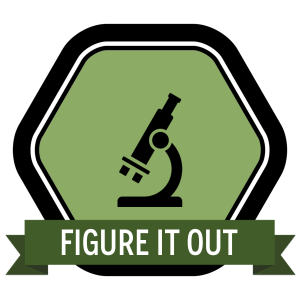 Badge icon "Microscope (1868)" provided by Stuart McCoy, from The Noun Project under Creative Commons - Attribution (CC BY 3.0)